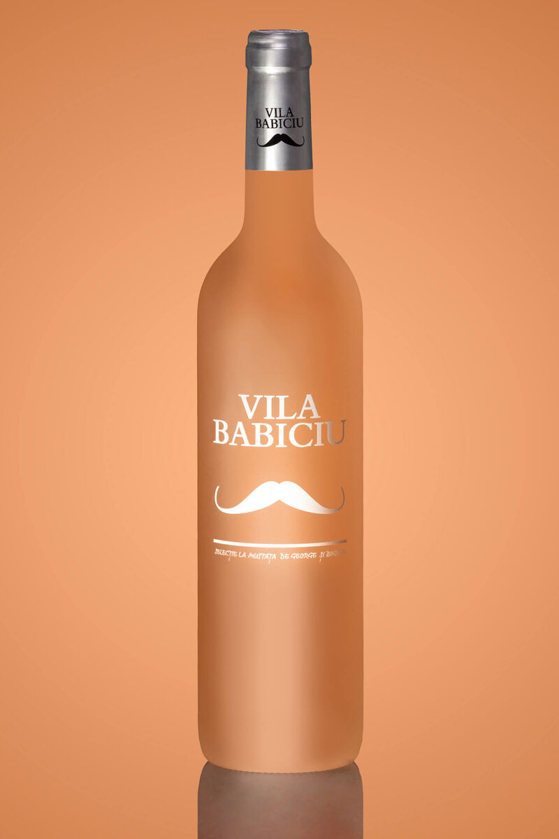 Vila Babiciu Wine Project